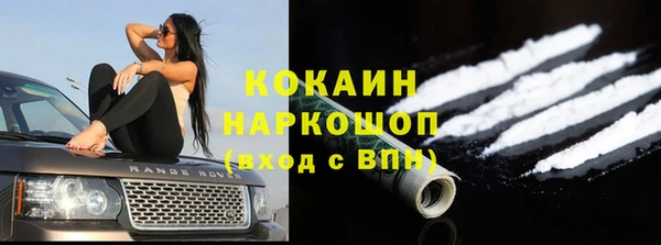 молекула духа Алексин