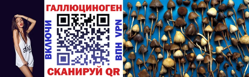 наркотики  Яхрома  Псилоцибиновые грибы мицелий 